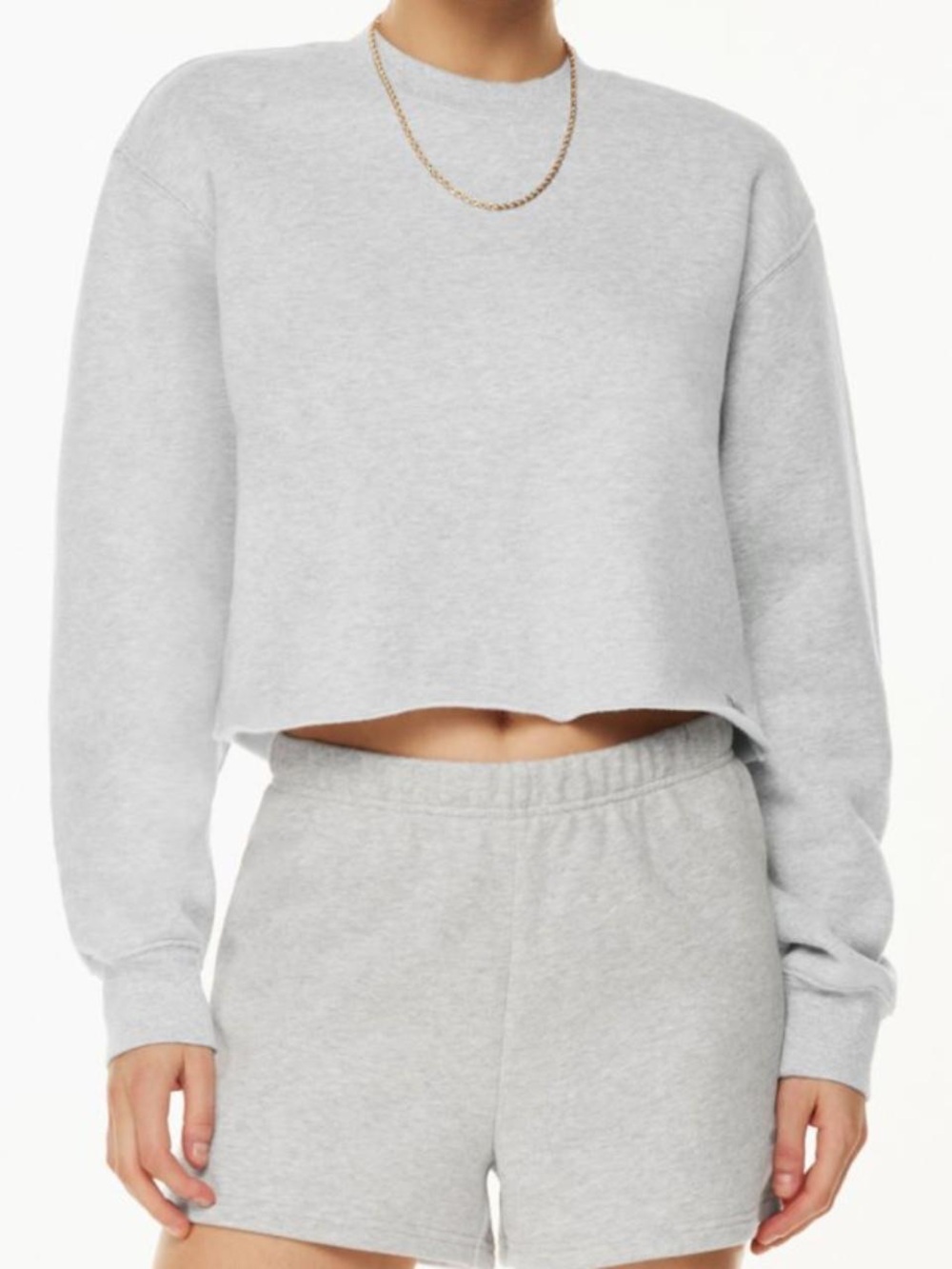 Aritzia TNA Boyfriend Cropped Sweatshirt Heather Gray L NWT